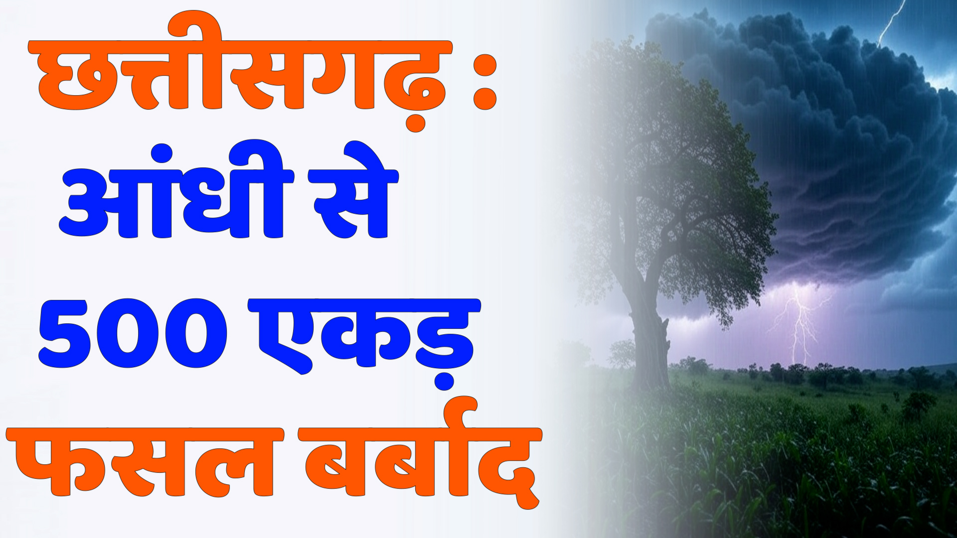 CG News : धमधा में आंधी और बारिश ने किसानों की फसल तबाह की, 500 एकड़ में केला-पपीता-आम बर्बाद