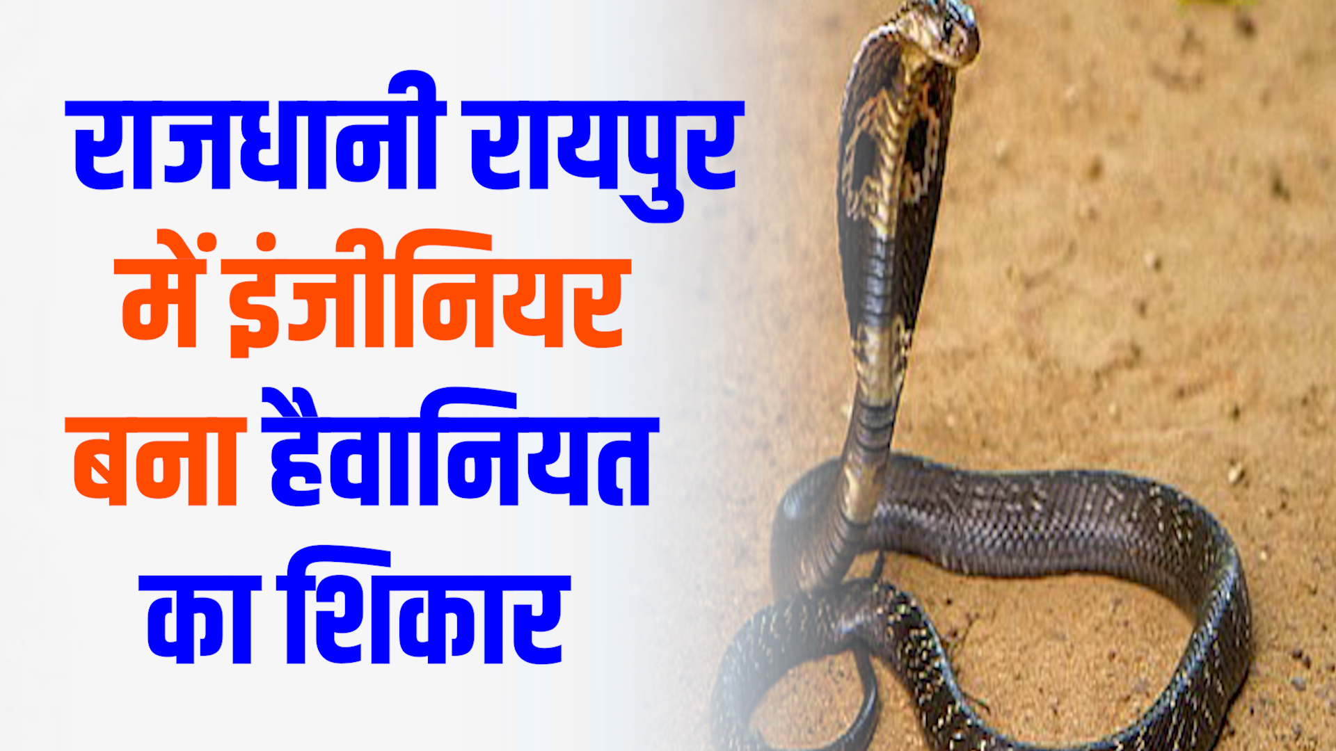 CG News : राजधानी रायपुर में चौंकाने वाली घटना, इंजीनियर बना हैवानियत का शिकार