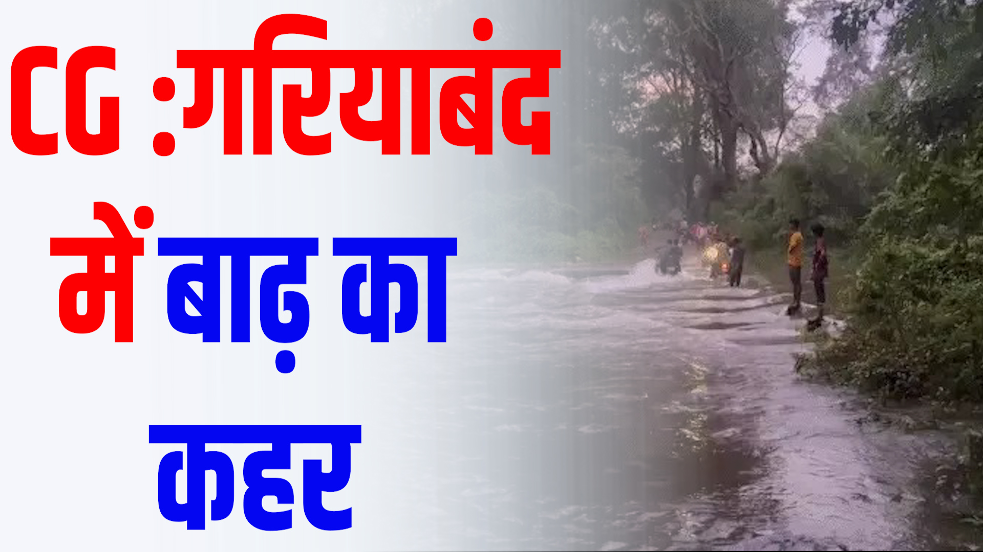 CG News :बाढ़ से लाखों की फसल बर्बाद,किसानों ने की मुआवजे की मांग