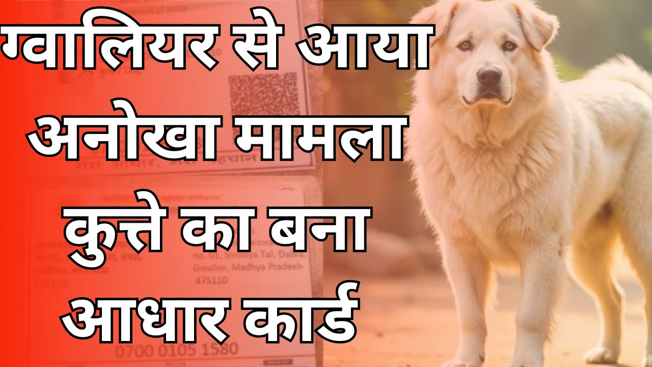 MP NEWS :ग्वालियर से आया अनोखा मामला, कुत्ते का बना आधार कार्ड