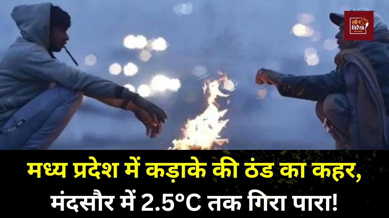 MP News : मध्य प्रदेश में कड़ाके की ठंड का कहर, मंदसौर में 2.5 डिग्री तक गिरा तापमान