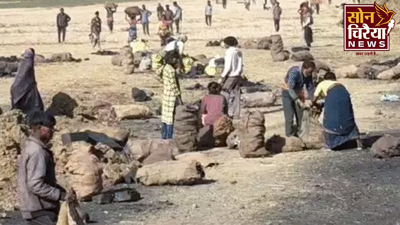 CG News: अमेरा खदान से बड़े पैमाने पर कोयला चोरी, रोज सैकड़ों लोग पहुंच रहे भीतर