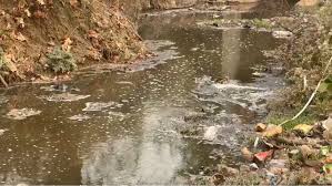 CG News: छत्तीसगढ़ की नदियां प्रदूषण की चपेट में, शिवनाथ नदी सबसे अधिक संकटग्रस्त