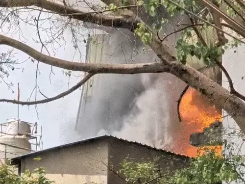 CG News: अंबिकापुर में भीषण अग्निकांड, प्लास्टिक और पटाखे की दुकान बनी आग का गोला