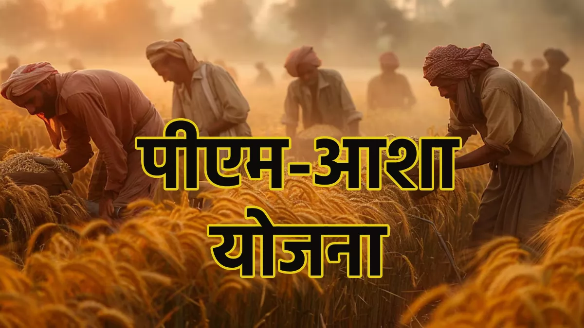 CG News: दलहन-तिलहन फसलों की खरीदी में किसानों के लिए राहत, पीएम-आशा योजना के तहत खरीदी शुरू