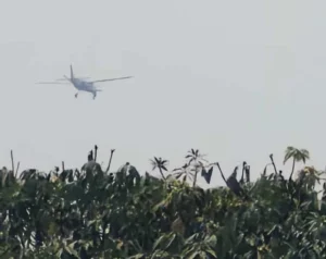 CG News: जशपुर में विमान हादसा, आरा पहाड़ से टकराया प्राइवेट प्लेन, पायलट और को-पायलट की मौत