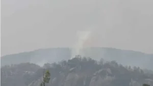 CG News: जशपुर में प्लेन क्रैश की खबर निकली अफवाह, जंगल की आग और उड़ते विमान से फैली गलतफहमी