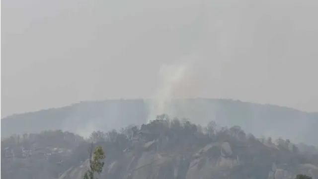 CG News: जशपुर में प्लेन क्रैश की खबर निकली अफवाह, जंगल की आग और उड़ते विमान से फैली गलतफहमी