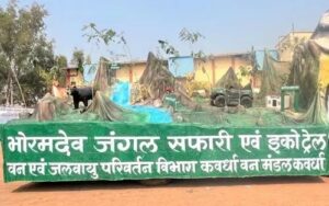 CG News: छत्तीसगढ़ में भोरमदेव जंगल सफारी की शुरुआत, 35 किमी रूट पर रोमांचक सफर का अनुभव