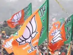 CG News: छत्तीसगढ़ बीजेपी में बड़े बदलाव की अटकलें तेज, संगठन और सरकार दोनों स्तर पर फेरबदल की चर्चा