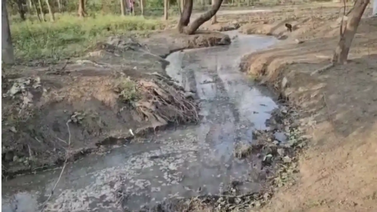 CG News: जहरीले पानी से शिवनाथ नदी प्रदूषित, ग्रामीणों में आक्रोश