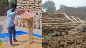 CG News: रायपुर में धान घोटाले की आशंका: 12 समितियों से 6,590 क्विंटल धान गायब, 2 करोड़ से अधिक का नुकसान