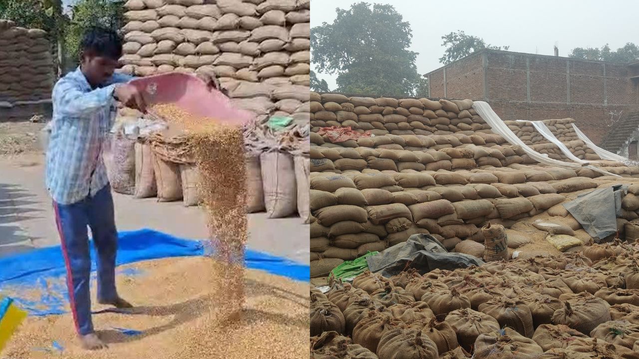 CG News: रायपुर में धान घोटाले की आशंका: 12 समितियों से 6,590 क्विंटल धान गायब, 2 करोड़ से अधिक का नुकसान