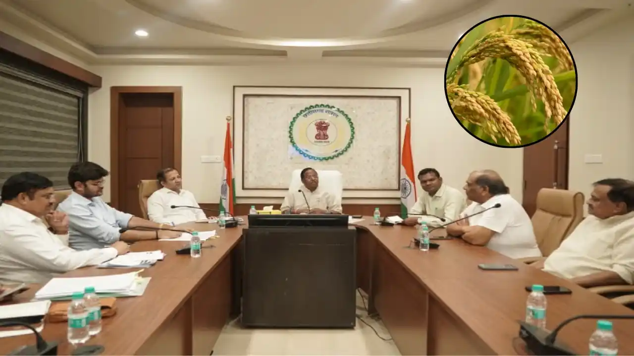 CG News: छत्तीसगढ़ में शुरू होगा बासमती धान मिशन, किसानों को मिलेगा अंतरराष्ट्रीय बाजार का फायदा