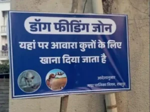 CG News: हाईकोर्ट के आदेश पर रायपुर नगर निगम का बड़ा फैसला, अब तय स्थानों पर ही खिलाया जाएगा स्ट्रीट डॉग्स को खाना