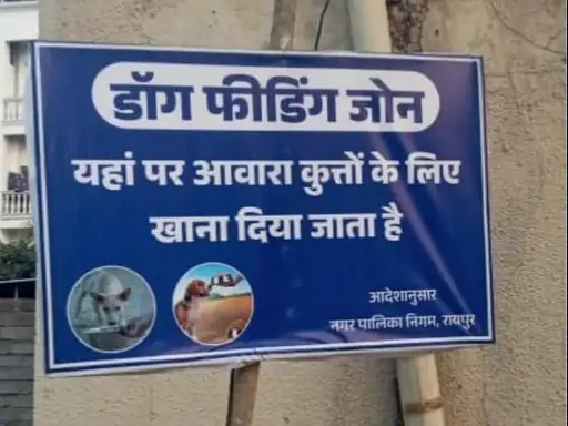 CG News: हाईकोर्ट के आदेश पर रायपुर नगर निगम का बड़ा फैसला, अब तय स्थानों पर ही खिलाया जाएगा स्ट्रीट डॉग्स को खाना