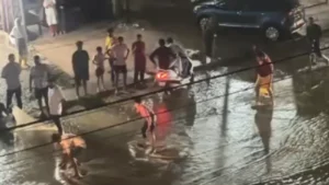 CG News: बारिश के बाद हाईवे बना ‘फिशिंग स्पॉट’, सड़क पर मछलियां पकड़ते दिखे लोग
