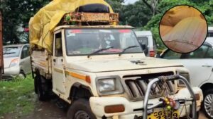 CG News: बस्तर में PDS चावल की तस्करी का खुलासा, 40 बोरी राशन चावल से भरा पिकअप जब्त