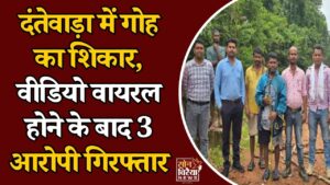 CG News: दंतेवाड़ा में गोह के शिकार का वीडियो वायरल, शराब के साथ चखना बनाने का आरोप