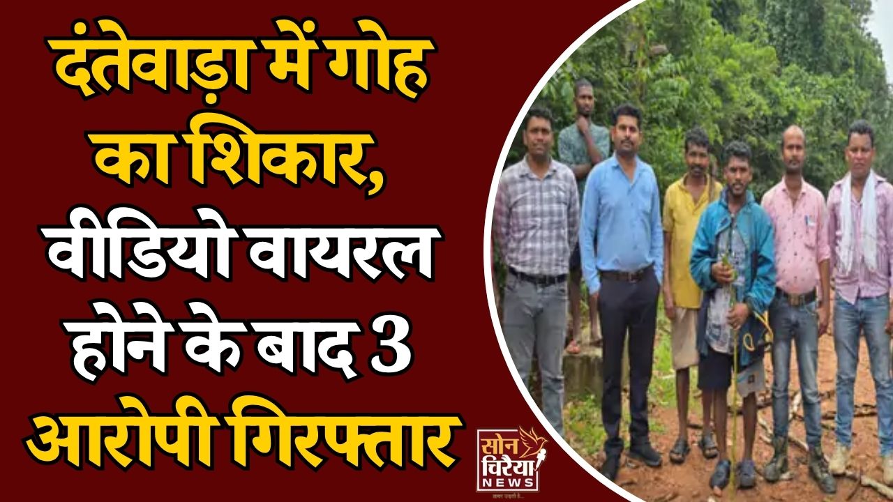 CG News: दंतेवाड़ा में गोह के शिकार का वीडियो वायरल, शराब के साथ चखना बनाने का आरोप