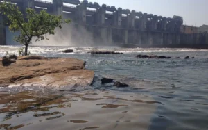 CG News: अगस्त की बारिश से बांधों में बढ़ा जलस्तर, कई जलाशय 100% भरे, कुछ से छोड़ा जा रहा पानी