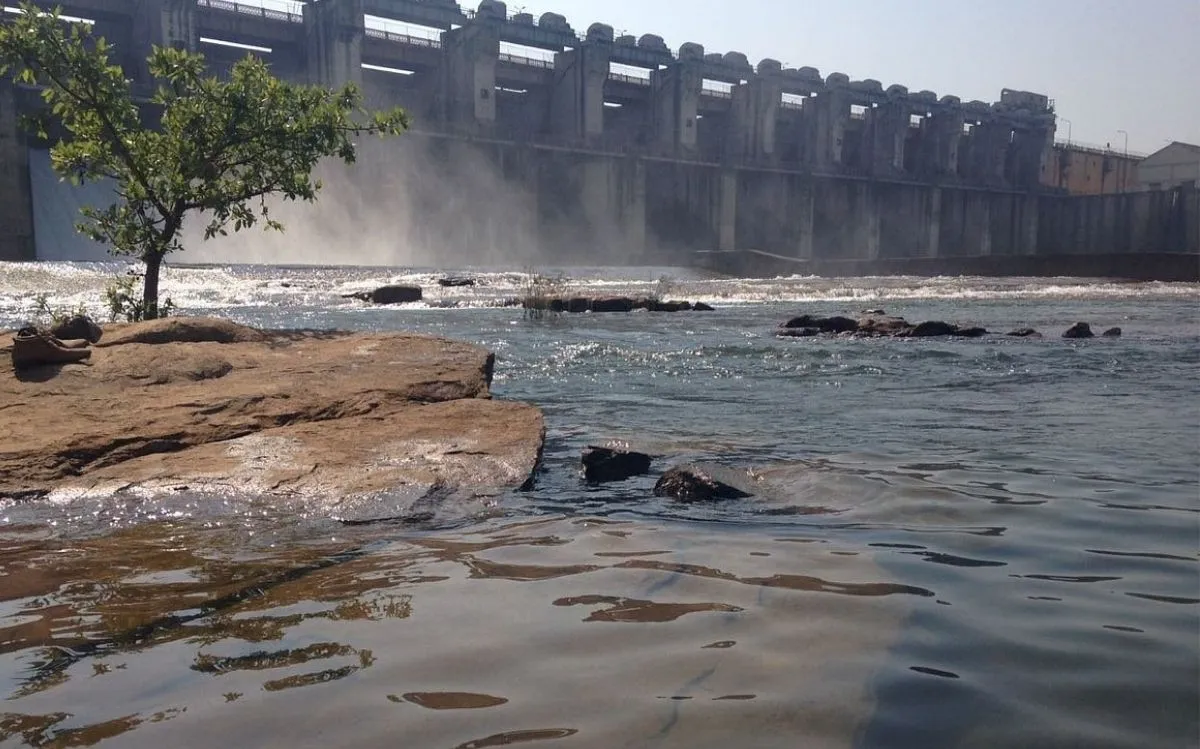 CG News: अगस्त की बारिश से बांधों में बढ़ा जलस्तर, कई जलाशय 100% भरे, कुछ से छोड़ा जा रहा पानी