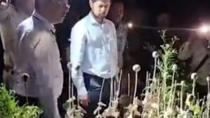 CG News: मक्के की आड़ में अफीम की खेती का मामला, पुलिस ने 8 आरोपियों पर दाखिल किया चालान