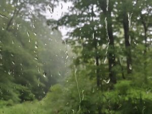 CG News: छत्तीसगढ़ में बदला मौसम, 22 जिलों में येलो अलर्ट जारी, गरज-चमक के साथ बारिश की चेतावनी