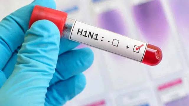 CG News: छत्तीसगढ़ में स्वाइन फ्लू ने बढ़ाई चिंता, 24 नए मरीज मिलने से संक्रमितों की संख्या 108