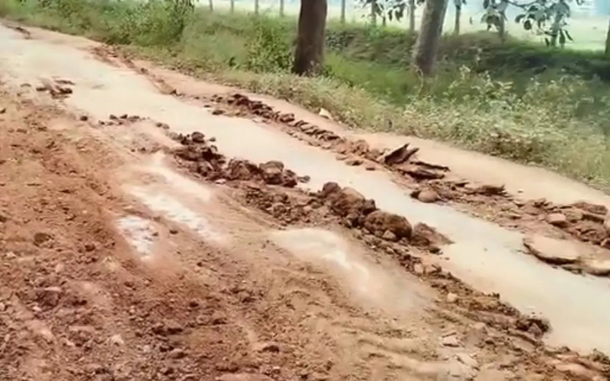 CG News: गरियाबंद में सड़क में गड्ढे या गड्ढों में सड़क? 3 KM का सफर बना मुसीबत
