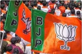 CG News: छत्तीसगढ़ BJP में बड़े बदलाव की तैयारी, कार्यकारी अध्यक्ष की रेस में तोखन साहू आगे