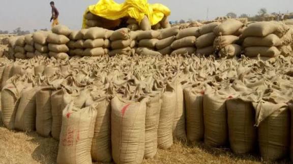 CG News: भारतीय किसान संघ ने सीएम साय को पत्र लिखकर 3,358 रुपए प्रति क्विंटल की दर से धान खरीदी की रखी मांग